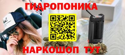 круглые Бердск