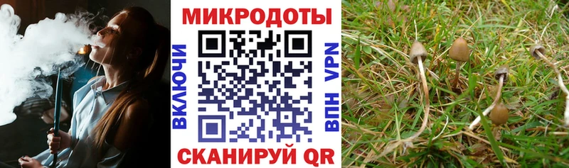 где найти   Белебей  Псилоцибиновые грибы ЛСД 